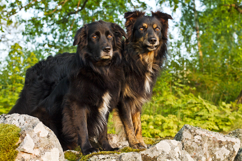 IMG_2610